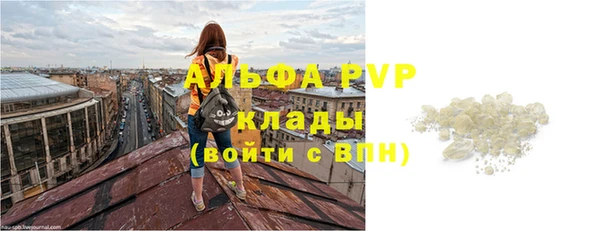 индика Балахна