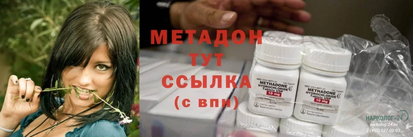 индика Балахна