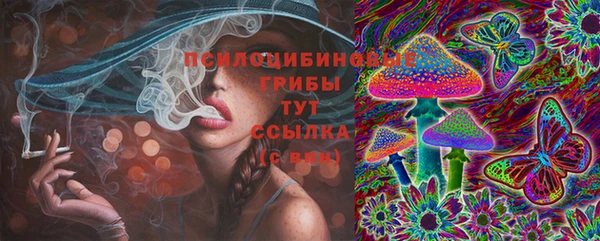 индика Балахна