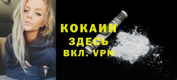 индика Балахна
