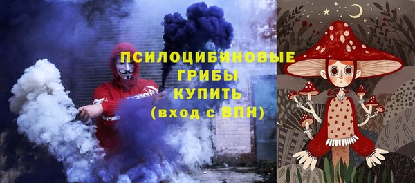 индика Балахна