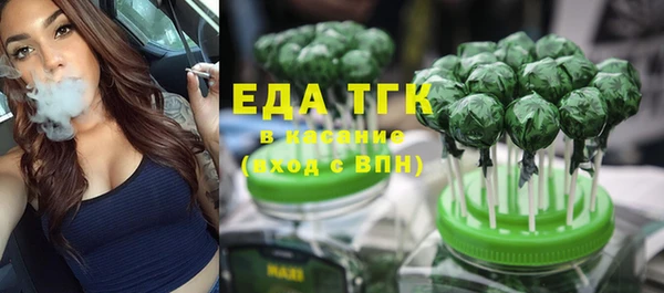 индика Балахна