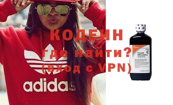 индика Балахна