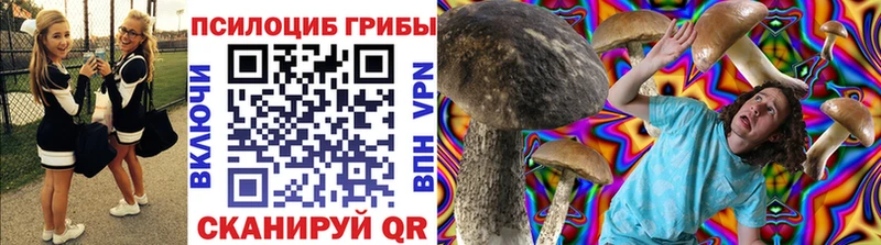 OMG tor  Безенчук  Галлюциногенные грибы MAGIC MUSHROOMS 